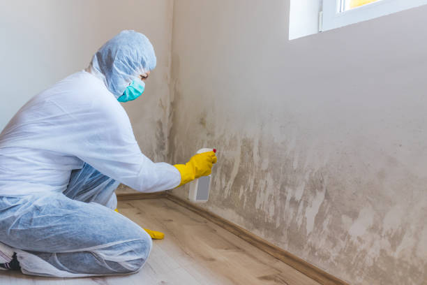 Bathroom Mold Removal assessment in Harrison bathroom