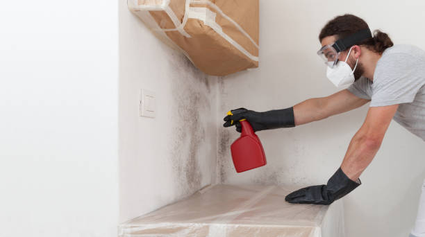 Attic Mold Remediation treatment on roof deck in Harrison